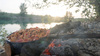 Patelnia bushcraftowa - Muurikka Campfire frying pan