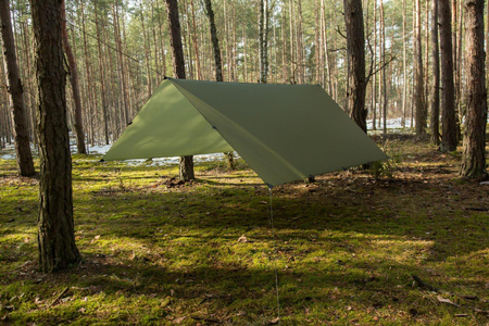 Tarp Lesovik Groza mayfly green