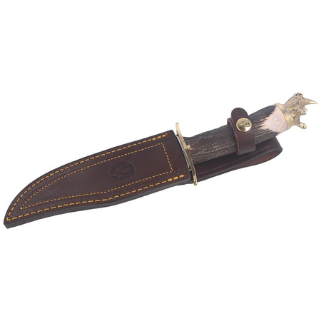 Nóż myśliwski Muela Deer Stag 160mm, Gift Box (RHINO-16BF)