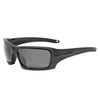 ESS - Okulary taktyczne Rollbar Contract Subdued Logo Kit - Czarny - Clear / Smoke Gray - EE9018-02