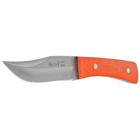 Nóż Muela BWE-8.O Orange Micarta, Satin MoVa