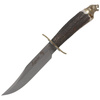 Nóż myśliwski Muela Deer Stag 160mm, Gift Box (LEOPARD-16BF)
