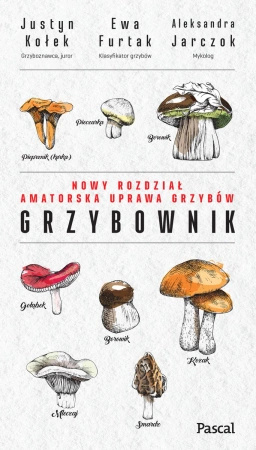 Grzybownik. Ewa Furtak, Justyn Kołek, Aleksandra Jarczok 