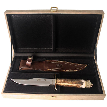 Nóż myśliwski Muela Deer Stag 160mm, Gift Box (LION-16BF)