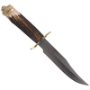 Nóż myśliwski Muela Deer Stag 160mm, Gift Box (LION-16BF)