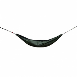 Zielony