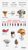 Grzybownik. Ewa Furtak, Justyn Kołek, Aleksandra Jarczok