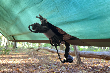 Tarp DD Hammocks 3x3 PRO - Olive green