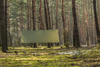 Tarp Lesovik Groza mayfly green