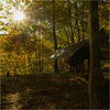Flyhamak - Tarp Sola 4x3m - ciemnooliwkowy