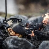 Żeliwny Opiekacz Ziemniaków Petromax 30 Cm