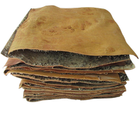 Kora brzozowa w arkuszach - 2 szt