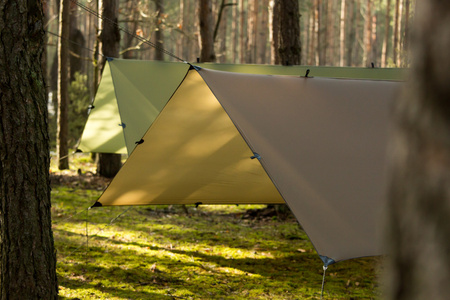 Tarp Lesovik Groza Walnut brown