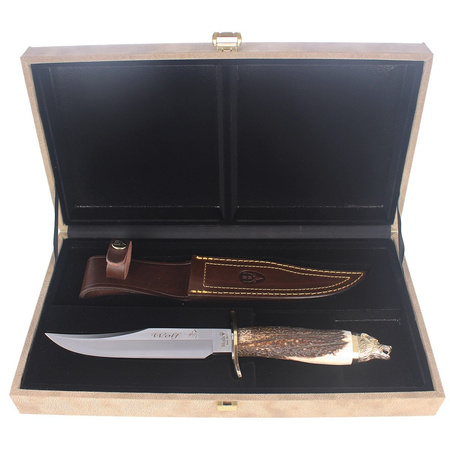 Nóż myśliwski Muela Deer Stag 160mm, Gift Box (WOLF-16A)