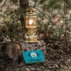 Lampa naftowa ciśnieniowa - Petromax HK500 Chrome