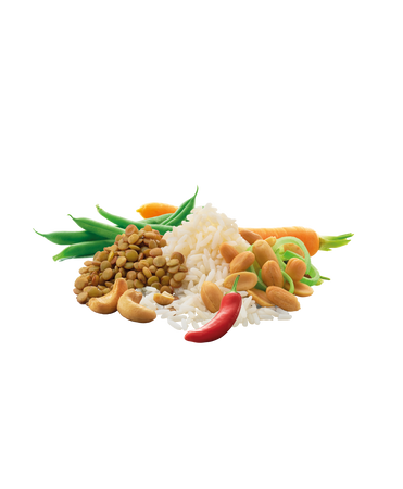 Adventure Food - Danie liofilizowane Ryż z nerkowcami vege 600 kcal