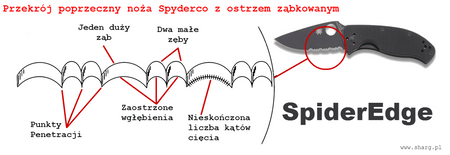 Nóż składany Spyderco Saver Salt Lightweight Yellow Spyder (C118SYL)