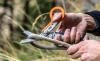 Multitool Leatherman Raptor Rescue Black and Blue (833066) - 6 narzędzi