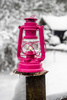 Lampa naftowa - Feuerhand Hurricane Lantern 276 - Magenta Pink